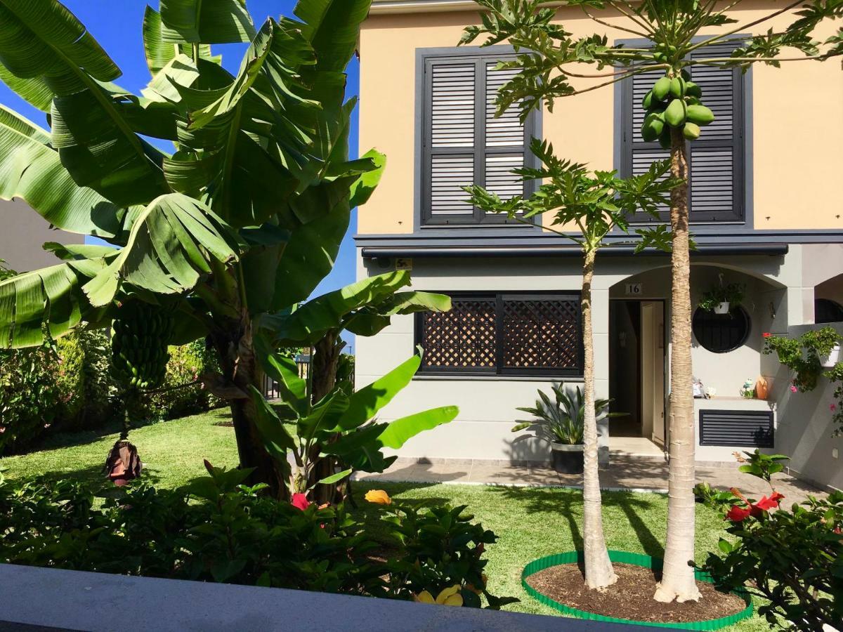 La Quinta Garden Villa Santa Úrsula Екстериор снимка